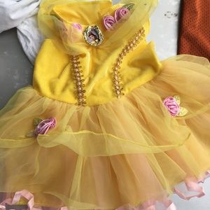 Disney princess dress